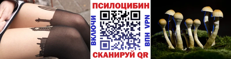 Псилоцибиновые грибы мицелий наркота блэк спрут Реутов